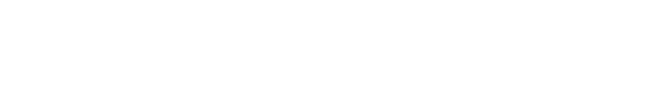 FLYWING USA